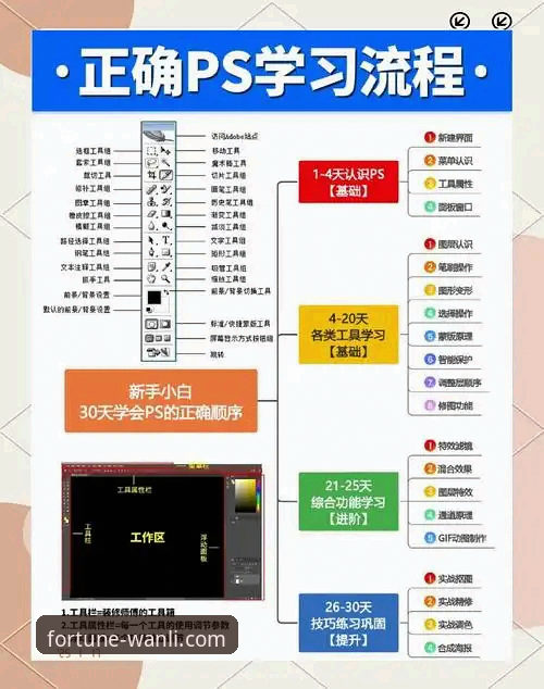 从入门到精通：资深用户总结的万利可靠吗使用技巧与实战心得